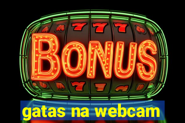 gatas na webcam